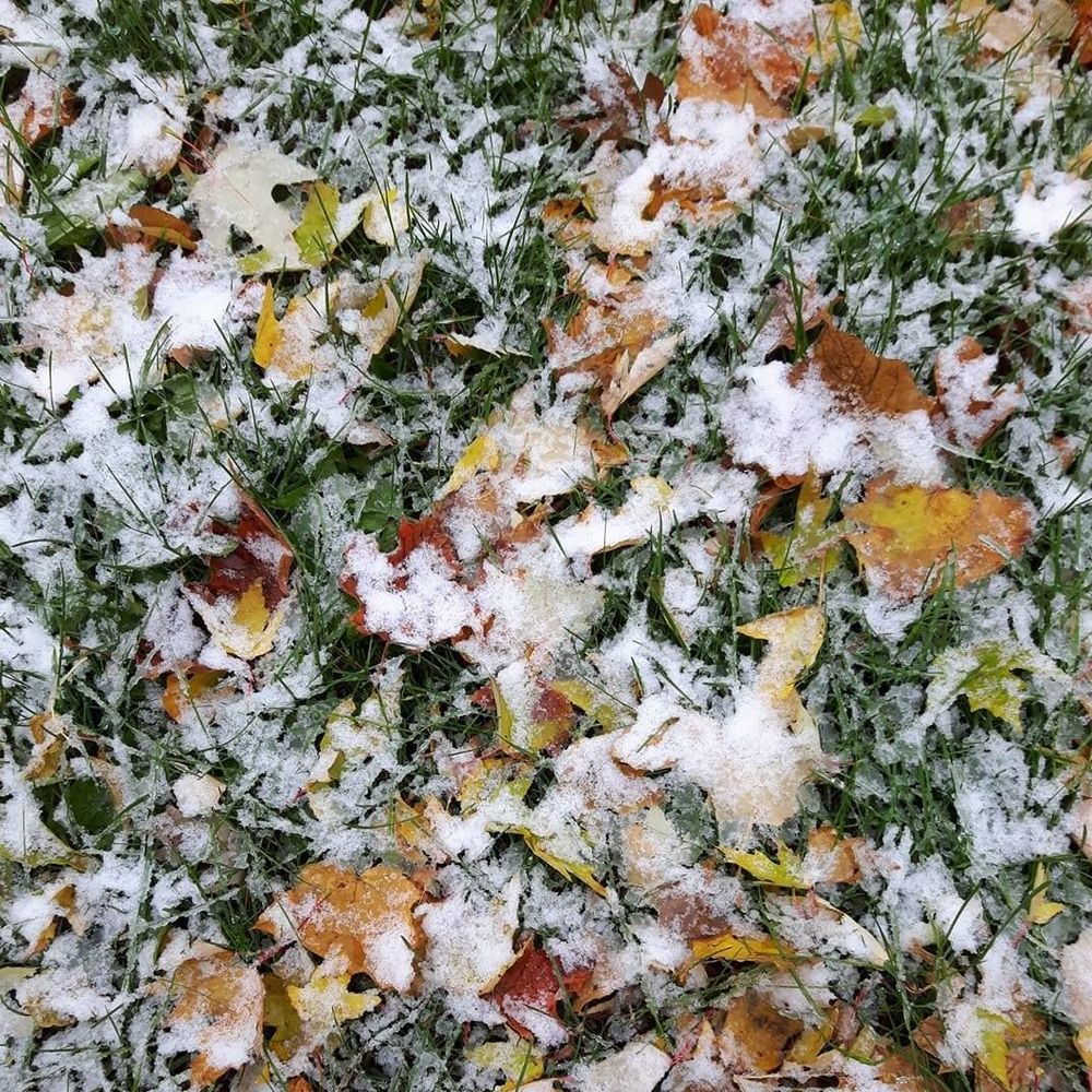 Meet your Posher, Annick